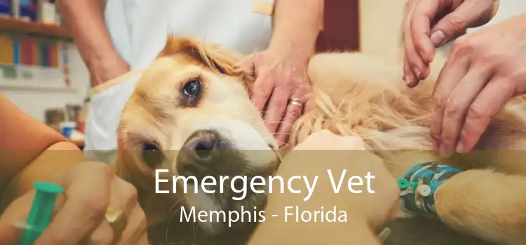 Emergency Vet Memphis - Florida