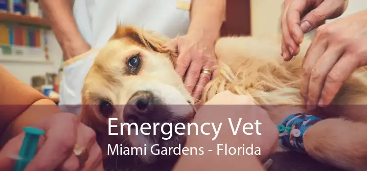 Emergency Vet Miami Gardens - Florida