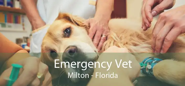 Emergency Vet Milton - Florida