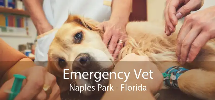Emergency Vet Naples Park - Florida