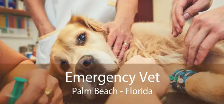 Emergency Vet Palm Beach - Florida