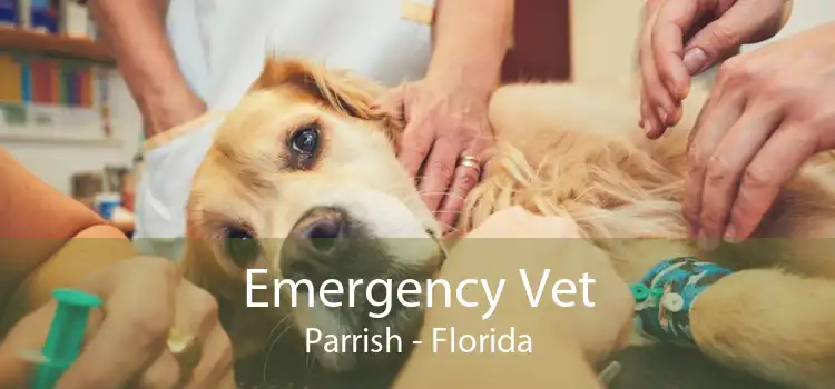Emergency Vet Parrish - Florida