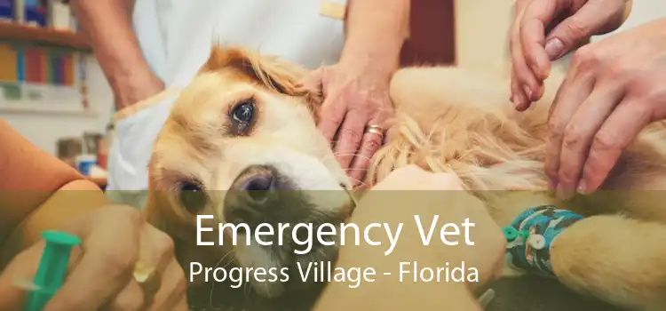 Emergency Vet Progress Village - Florida