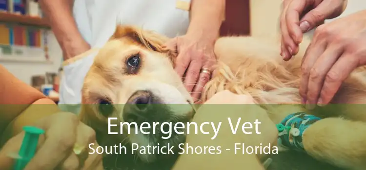 Emergency Vet South Patrick Shores - Florida