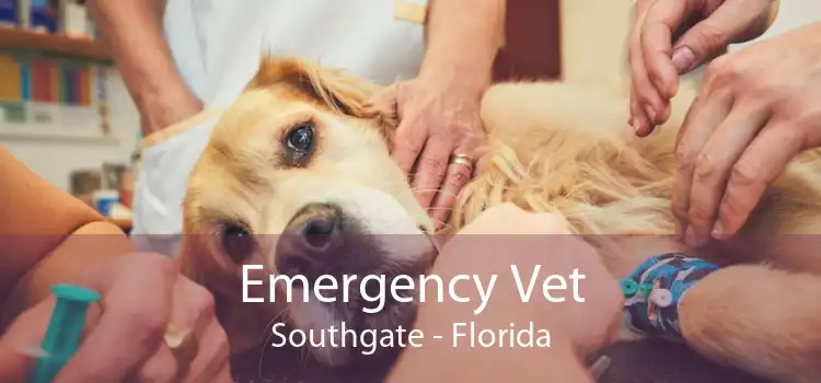 Emergency Vet Southgate - Florida