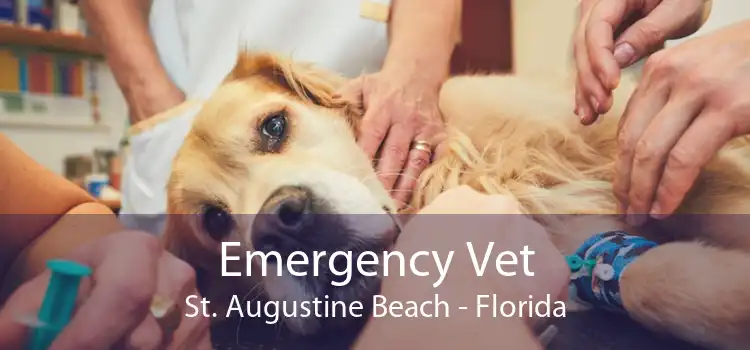 Emergency Vet St. Augustine Beach - Florida