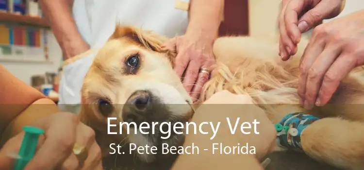 Emergency Vet St. Pete Beach - Florida