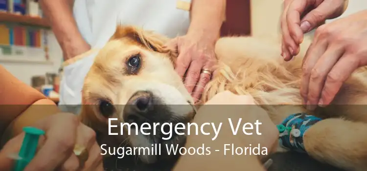 Emergency Vet Sugarmill Woods - Florida