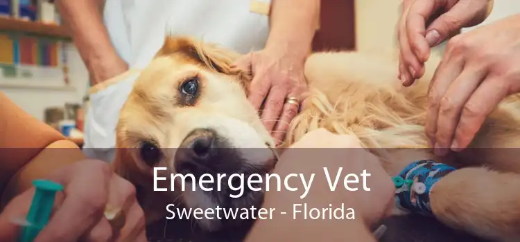 Emergency Vet Sweetwater - Florida