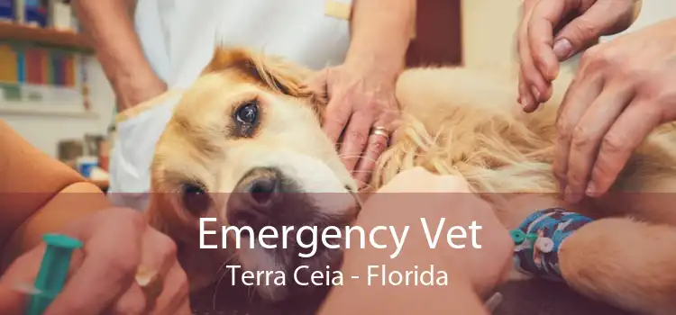 Emergency Vet Terra Ceia - Florida