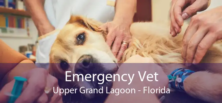 Emergency Vet Upper Grand Lagoon - Florida