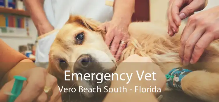 Emergency Vet Vero Beach South - Florida