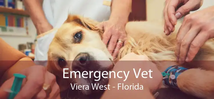Emergency Vet Viera West - Florida