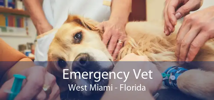 Emergency Vet West Miami - Florida