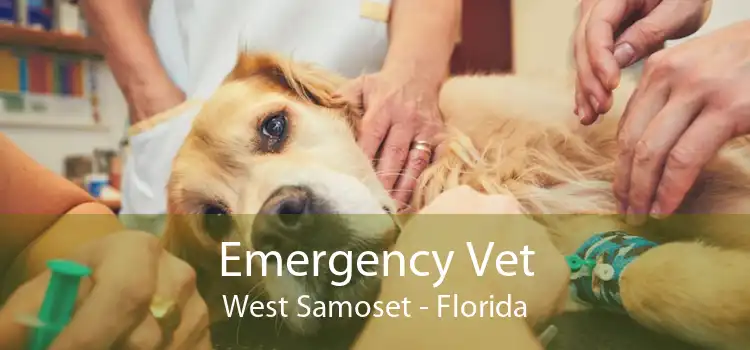 Emergency Vet West Samoset - Florida