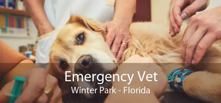 Emergency Vet Winter Park - Florida