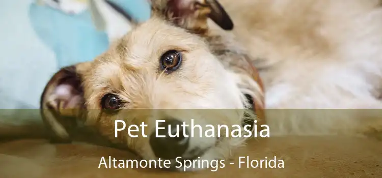 Pet Euthanasia Altamonte Springs - Florida