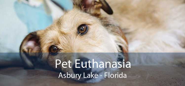 Pet Euthanasia Asbury Lake - Florida