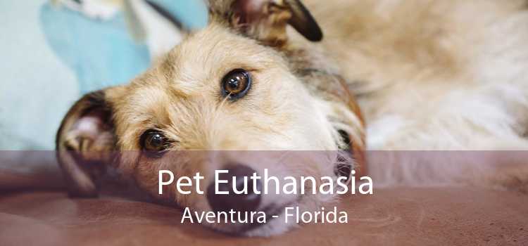 Pet Euthanasia Aventura - Florida