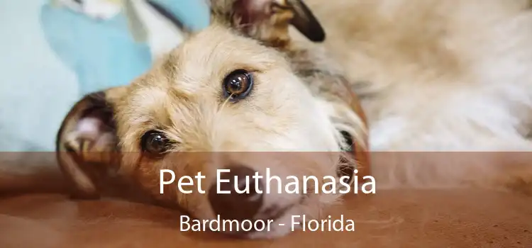 Pet Euthanasia Bardmoor - Florida