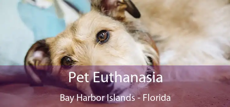 Pet Euthanasia Bay Harbor Islands - Florida