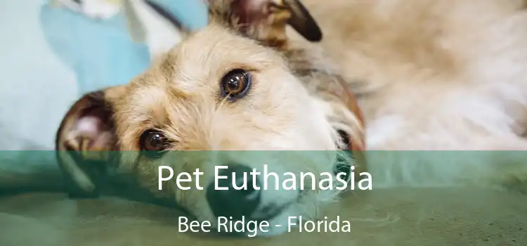 Pet Euthanasia Bee Ridge - Florida