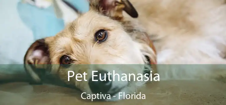 Pet Euthanasia Captiva - Florida