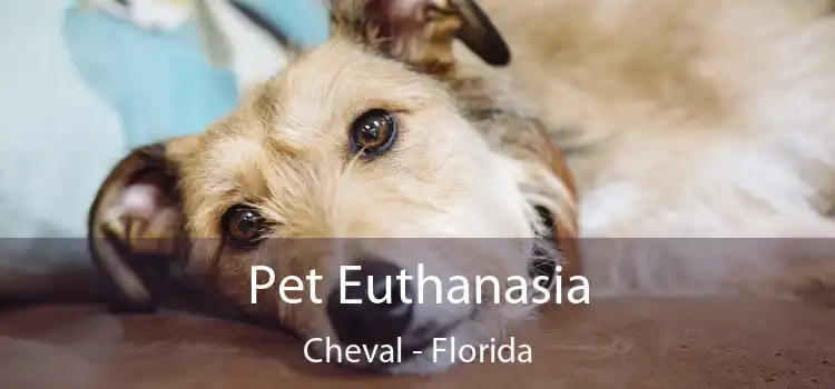Pet Euthanasia Cheval - Florida