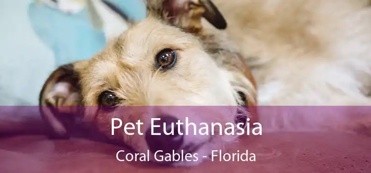 Pet Euthanasia Coral Gables - Florida