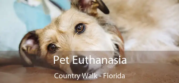 Pet Euthanasia Country Walk - Florida