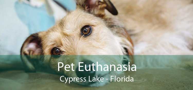 Pet Euthanasia Cypress Lake - Florida