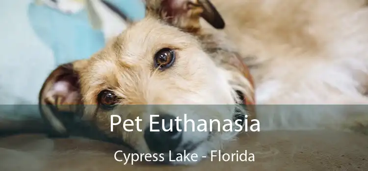 Pet Euthanasia Cypress Lake - Florida