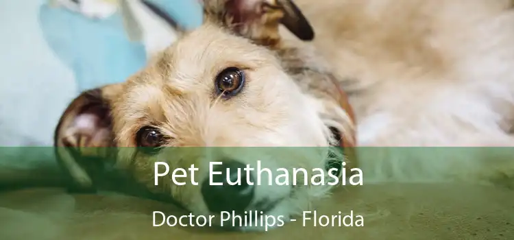 Pet Euthanasia Doctor Phillips - Florida