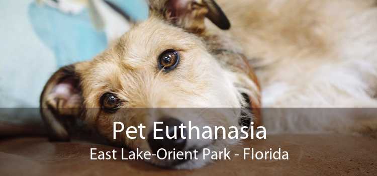 Pet Euthanasia East Lake-Orient Park - Florida
