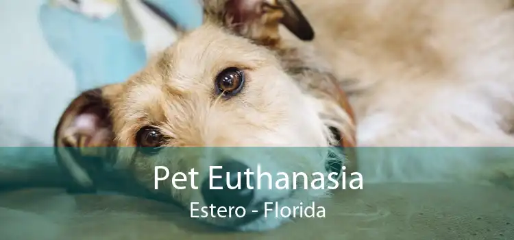 Pet Euthanasia Estero - Florida