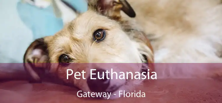 Pet Euthanasia Gateway - Florida