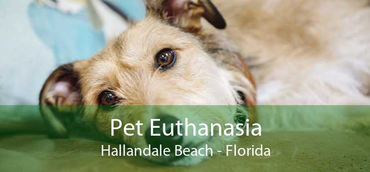 Pet Euthanasia Hallandale Beach - Florida
