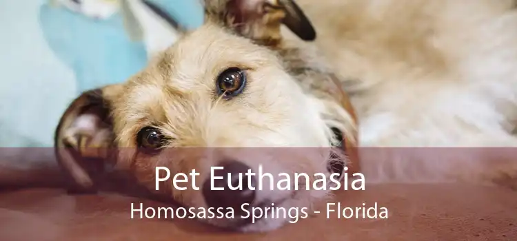 Pet Euthanasia Homosassa Springs - Florida