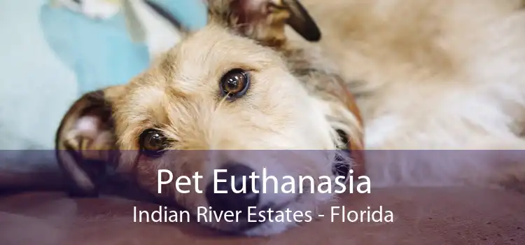 Pet Euthanasia Indian River Estates - Florida