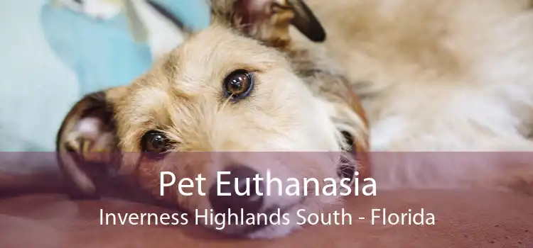 Pet Euthanasia Inverness Highlands South - Florida