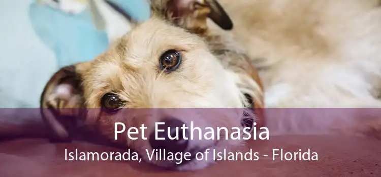 Pet Euthanasia Islamorada, Village of Islands - Florida