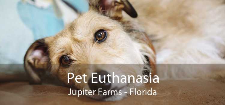 Pet Euthanasia Jupiter Farms - Florida