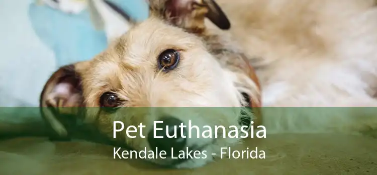 Pet Euthanasia Kendale Lakes - Florida