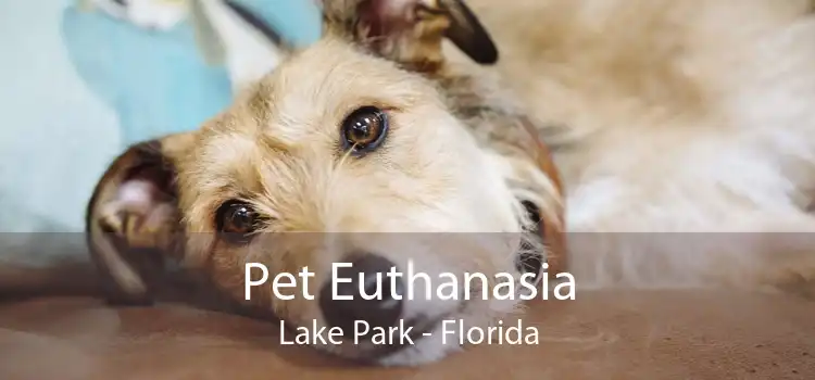 Pet Euthanasia Lake Park - Florida