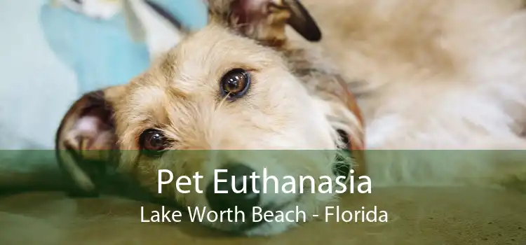 Pet Euthanasia Lake Worth Beach - Florida