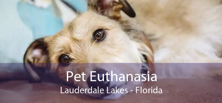 Pet Euthanasia Lauderdale Lakes - Florida