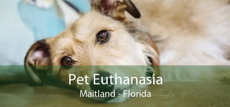 Pet Euthanasia Maitland - Florida