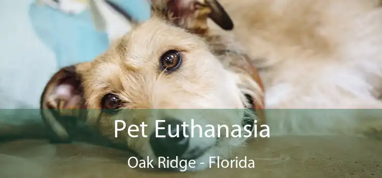 Pet Euthanasia Oak Ridge - Florida