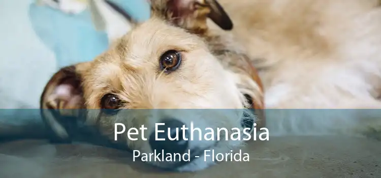 Pet Euthanasia Parkland - Florida
