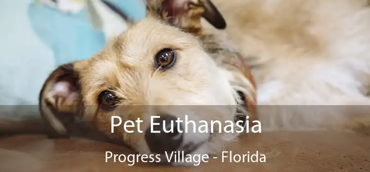 Pet Euthanasia Progress Village - Florida